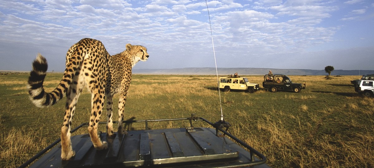 East African Safaris